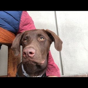 Meet your Posher, Willie